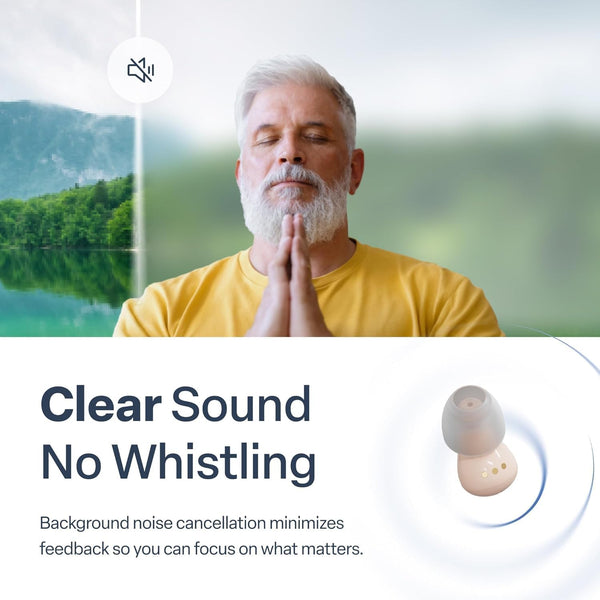 Wellness Matrix QuietCore Invisible Sound Aid